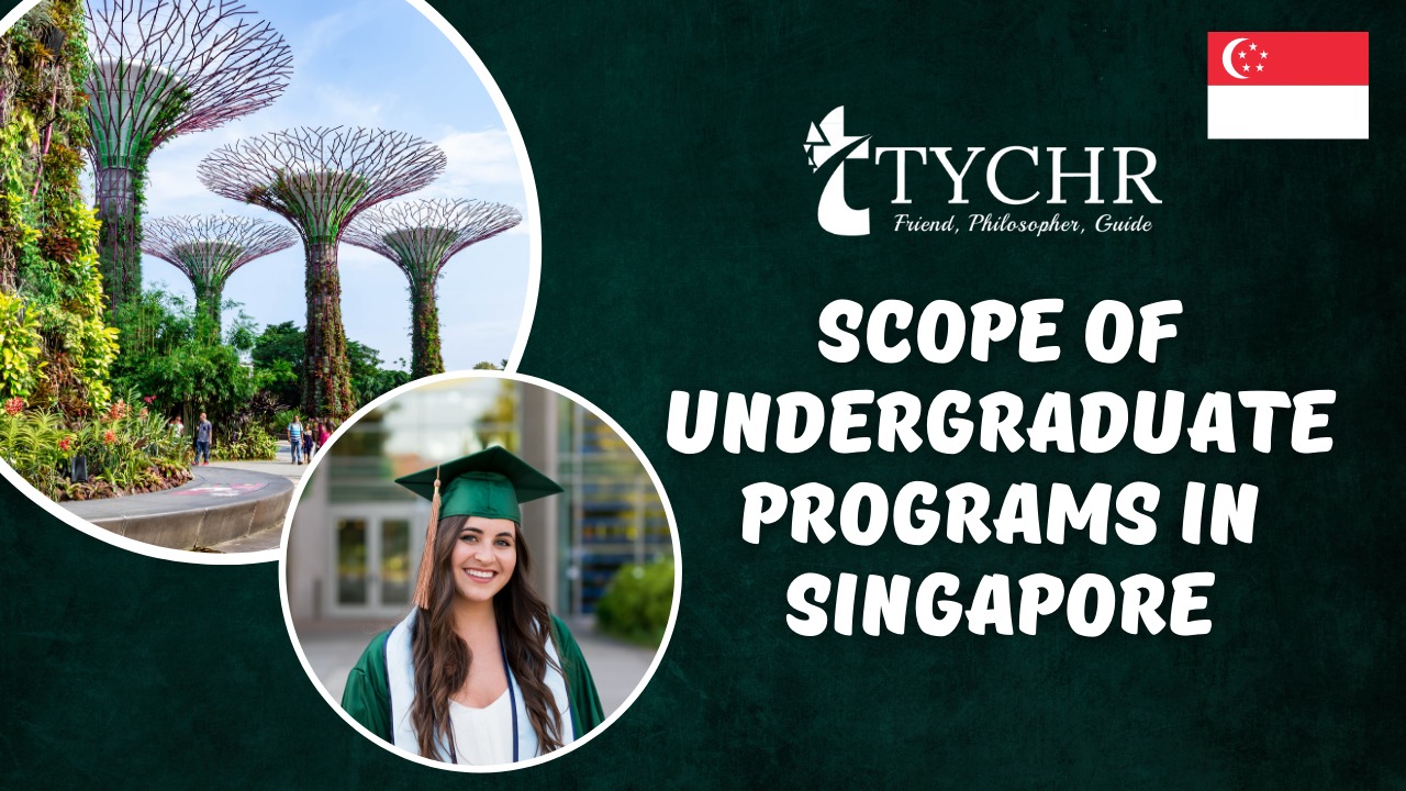 Scope of undergraduate programs in Singapore